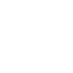 logo wingestsoft